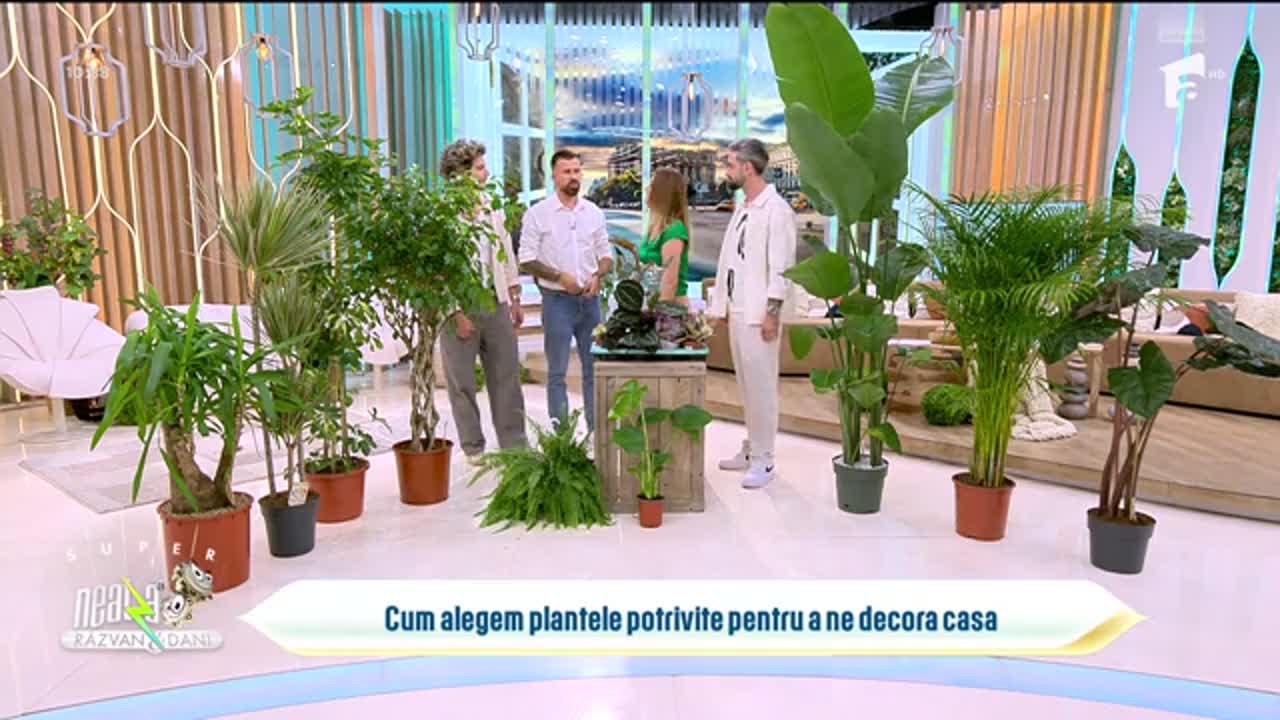 Neatza cu Răzvan și Dani - best of