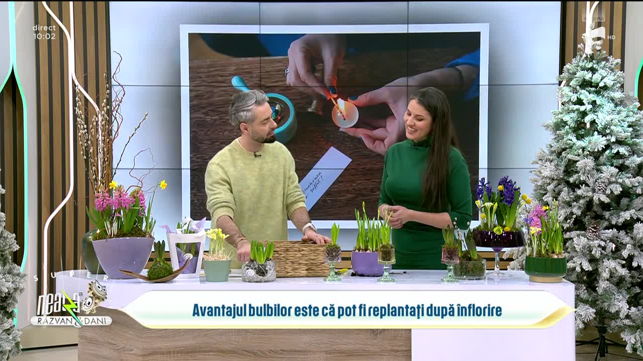 Super Neatza, 21 ianuarie 2026. Atelier de aranjamente cu bulbi de flori