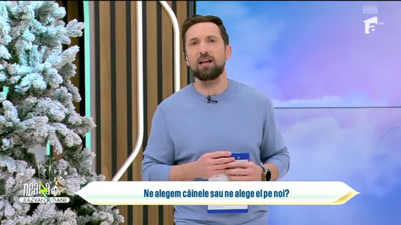 Super Neatza, 23 februarie 2026. Cum știm ce c&acirc;ine e potrivit pentru stilul nostru de viață