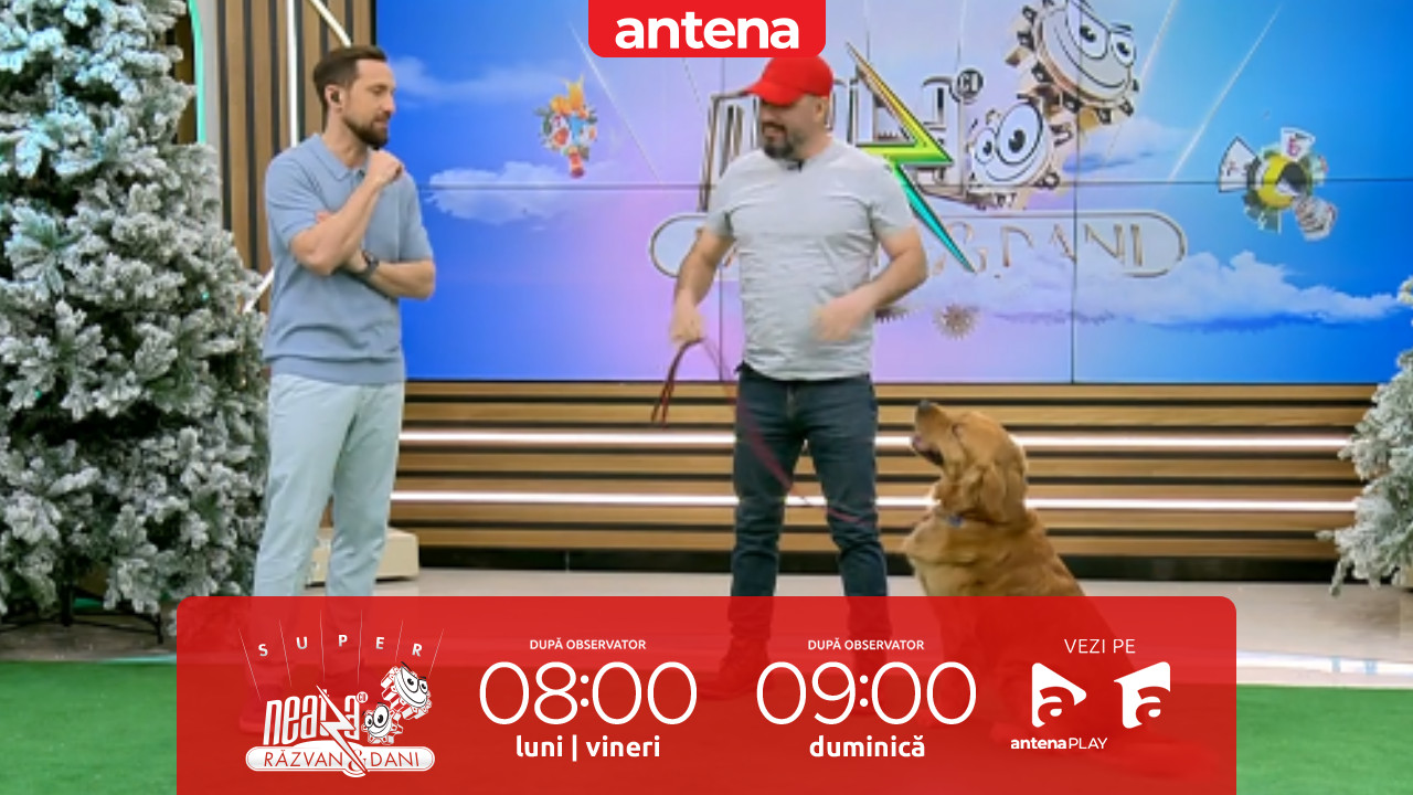 Super Neatza, 25 februarie 2026.  Instructorul Cătălin Cornea, moment spectaculos de dresaj canin