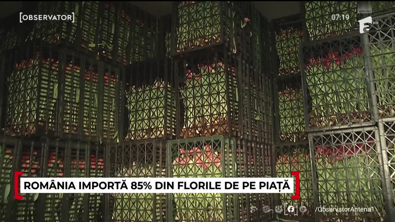 Observator Weekend ora 6