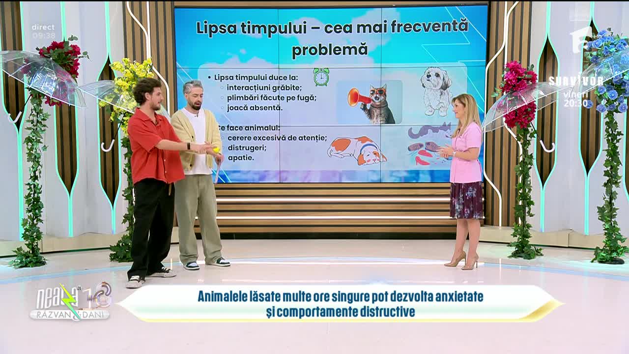 Super Neatza, 3 martie 2026. Cum ne arătăm sănătos afecțiunea faţă de animale