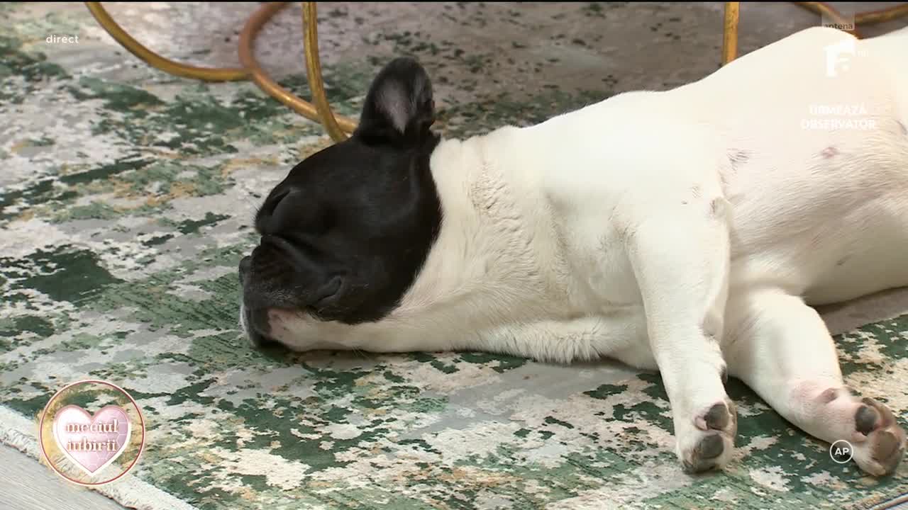 Mireasa sezonul 13, 5 martie 2026. Ema, mesaj pentru familia lui Alan: &Icirc;mi pare rău