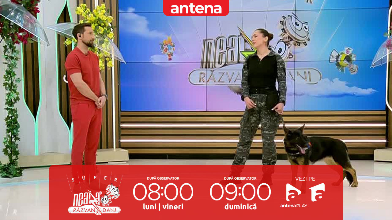 Super Neatza, 6 martie 2026. Ghid de angajare la Serviciul de Poliție Canină