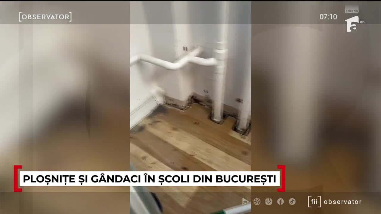 Observator Weekend ora 6