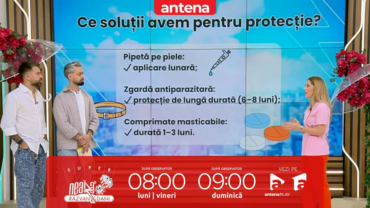 Super Neatza, 17 martie 2026. Cum ne protejăm animalele de companie &icirc;n sezonul căpușelor