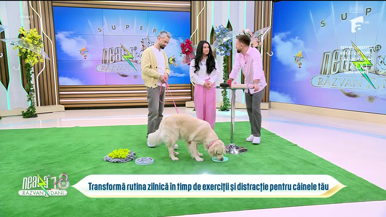 Super Neatza, 23 martie 2026. Secretele c&acirc;inilor fericiți. Exerciții care mențin energia patrupedului tău