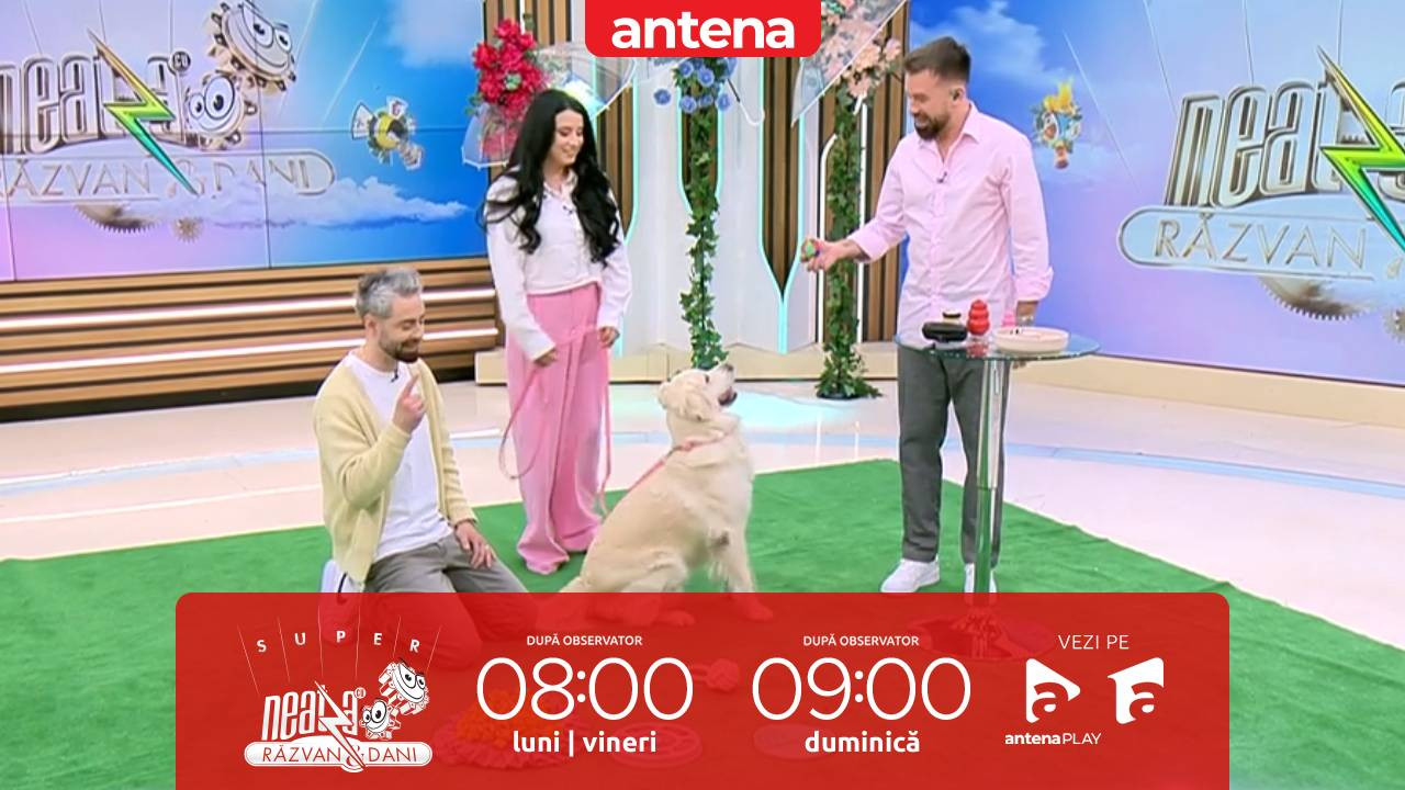 Super Neatza, 23 martie 2026. Secretele c&acirc;inilor fericiți. Exerciții care mențin energia patrupedului tău