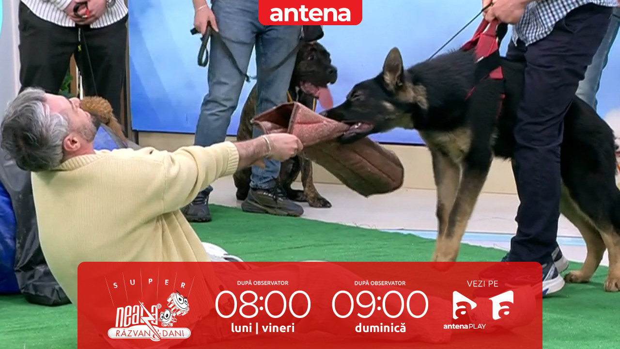 Super Neatza. Secretul unei relații perfecte cu c&acirc;inele tău