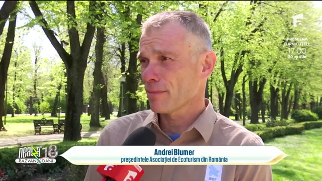 Neatza cu Răzvan și Dani