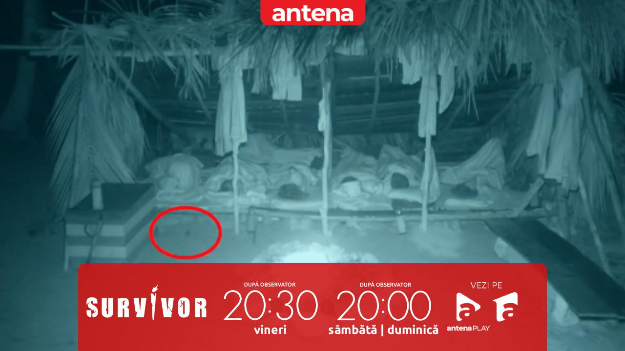 Survivor Rom&acirc;nia 2026. Faimoșii au avut parte de un vizitator surpriză: Acum face parte din familie!