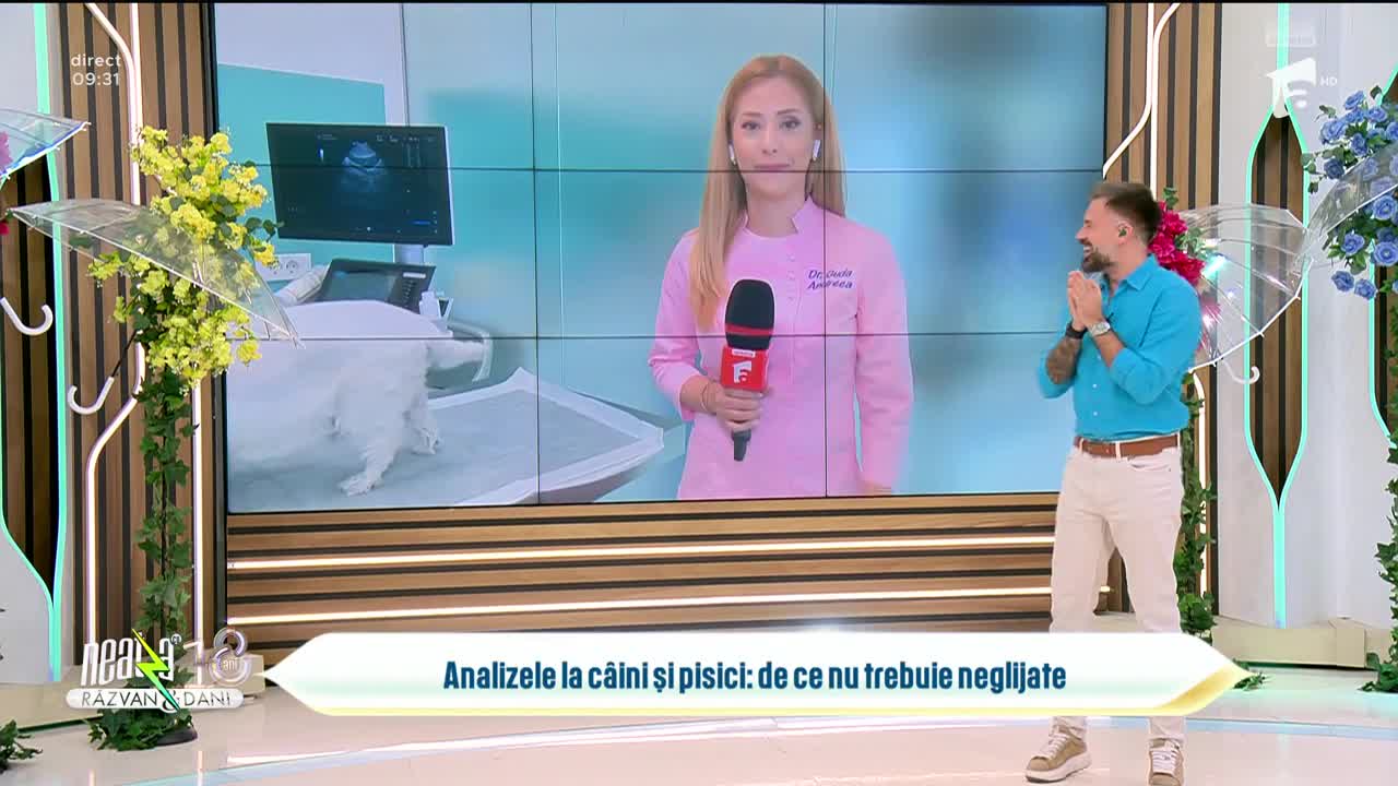 Super Neatza. De ce sunt vitale analizele periodice la c&acirc;ini și pisici