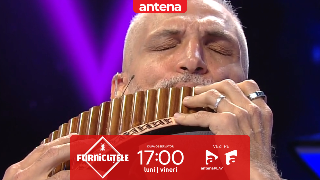 &bdquo;Am fost crescut cu violență domestică&rdquo;.  Nu rata următorul episod Furnicuțele, de la 17:00, pe Antena 1 și &icirc;n AntenaPLAY
