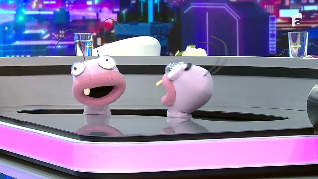 Furnicuțele 2026. Duel &icirc;ntre frați! Sebastian Dobrincu și David, cursă pe circuit improvizat