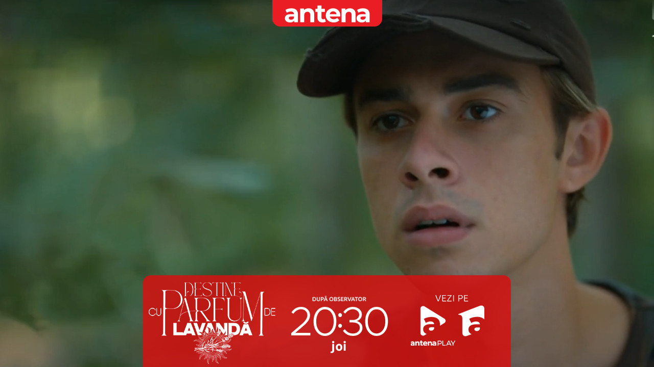Destine cu parfum de lavandă | Episodul 10. Alertă totală! Dispariția lui Cristi pune satul pe jar