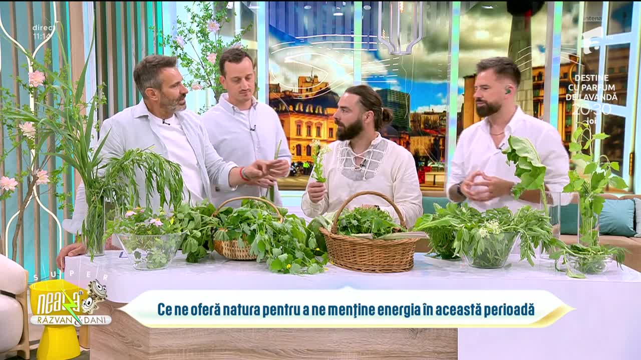 Super Neatza. De ce și cum putem să folosim plantele de sezon
