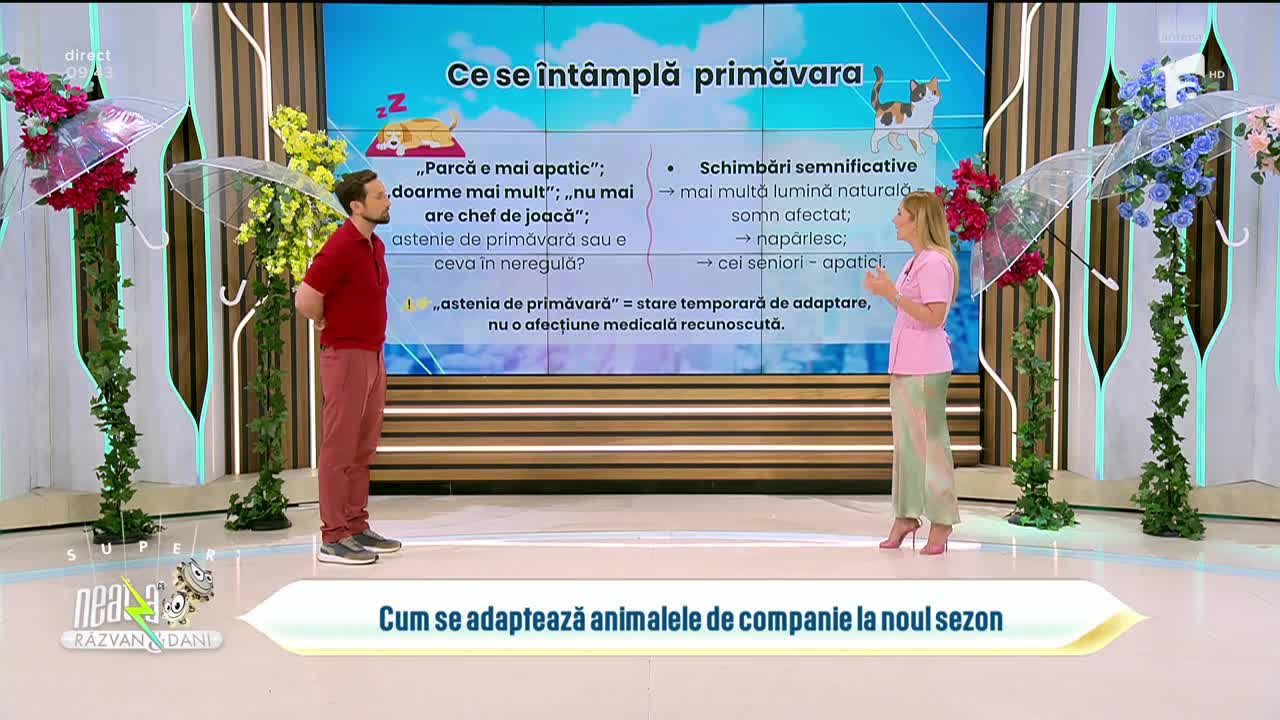 Super Neatza. Cum se adaptează animalele de companie la noul sezon