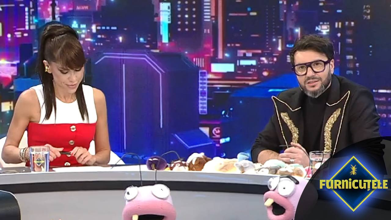 Furnicuțele 2026 | Episodul 20: Ce urmează