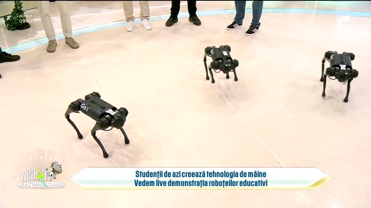 Super Neatza. C&acirc;inii-robot, folosiți &icirc;n misiuni reale de intervenţie, &icirc;n platoul de la Neatza