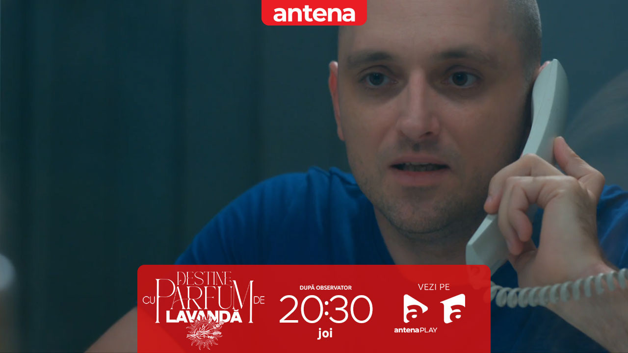 Destine cu parfum de lavandă | Episodul 18. Teo caută adevărul despre Dan de la Albert. Zamfir intervine