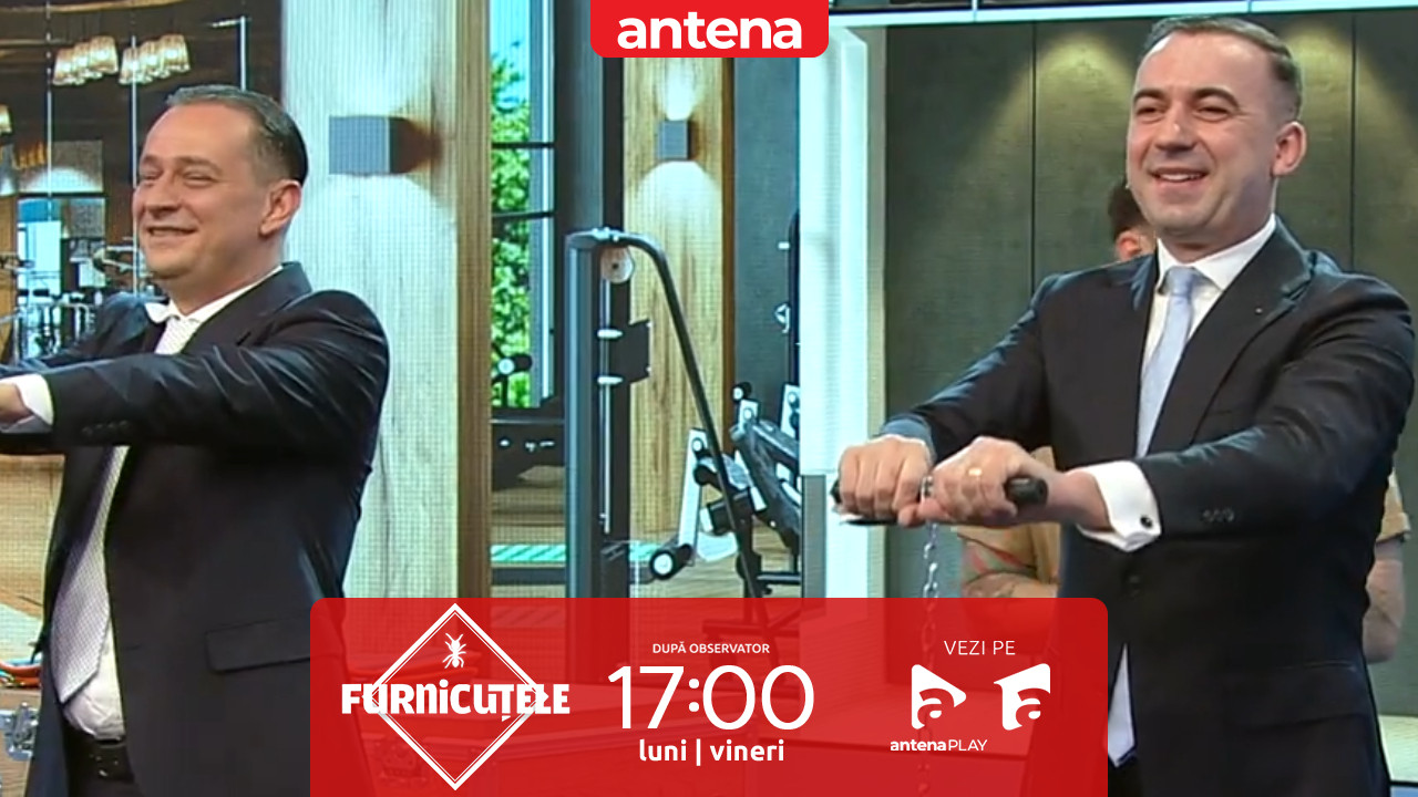 &bdquo;N-are cum să fie mai rău dec&acirc;t la Guvern&rdquo;. Nu rata următorul episod Furnicuțele, de la 17:00, pe Antena 1 și &icirc;n AntenaPLAY