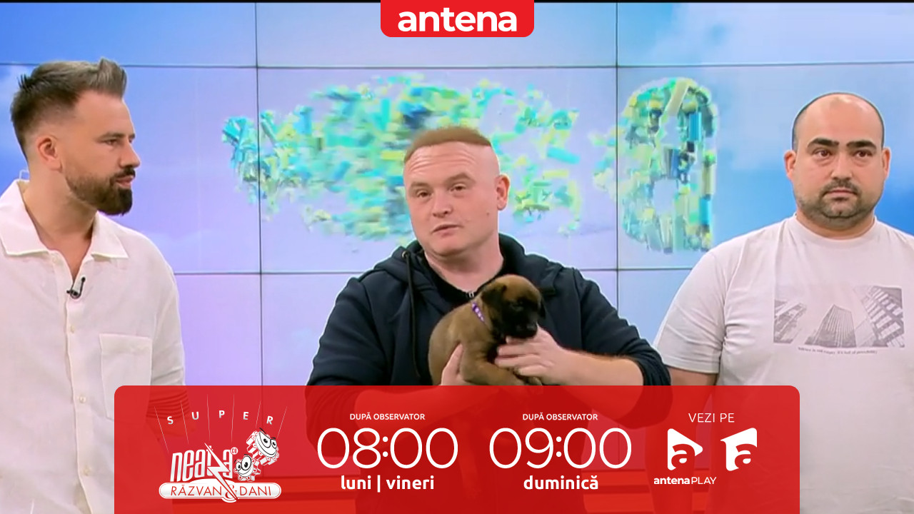 Neatza de Weekend. Totul despre Ciobănescul Belgian Malinois și de ce este c&acirc;inele de pază perfect
