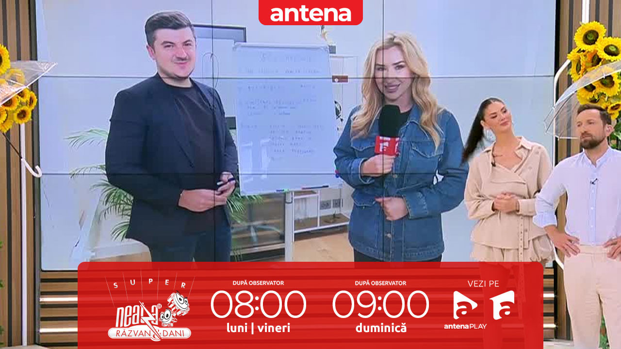 Super Neatza. Ce este un soloprenor și &icirc;n ce domenii poți &icirc;ncepe o afacere pe cont propriu