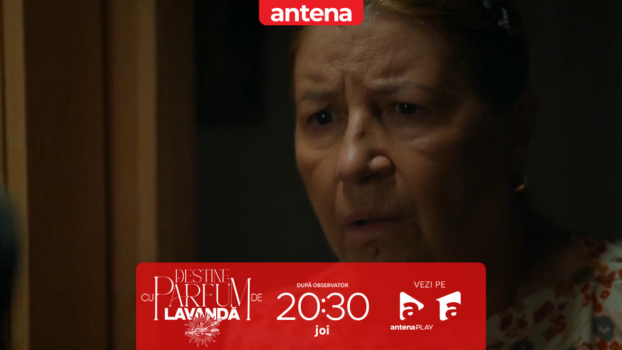 Destine cu parfum de lavandă | Episodul 24. Răsturnare de situație incredibilă! Dan este &icirc;n viață și vrea să se răzbune pe Zamfir