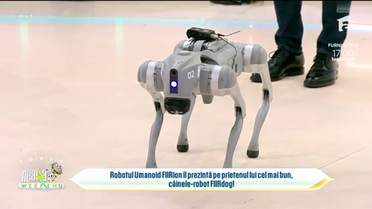 Neatza de Weekend. Demonstrații spectaculoase de robotică &icirc;n direct. Iată-i pe roboții FIIRion și FIIRdog