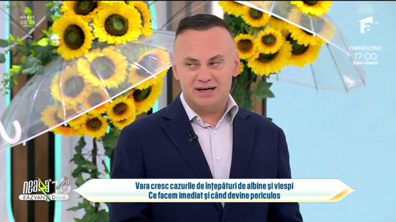 Super Neatza. Cum tratăm &icirc;nțepăturile de albine şi viespi