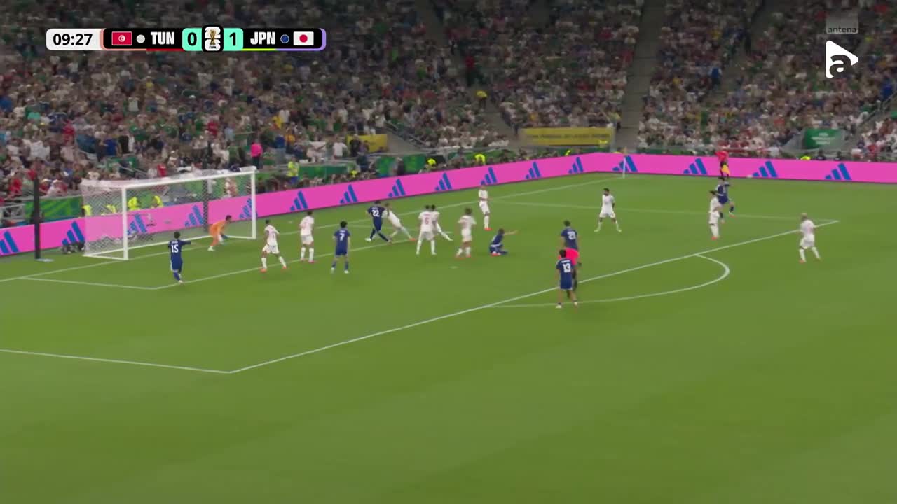 Tunisia - Japonia | Rezumat