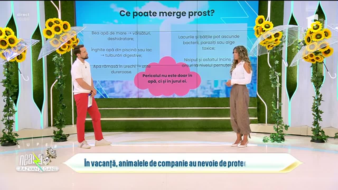 Super Neatza. La ce pericole trebuie să fim atenți atunci c&acirc;nd plecăm &icirc;n concediu cu animalul nostru de companie