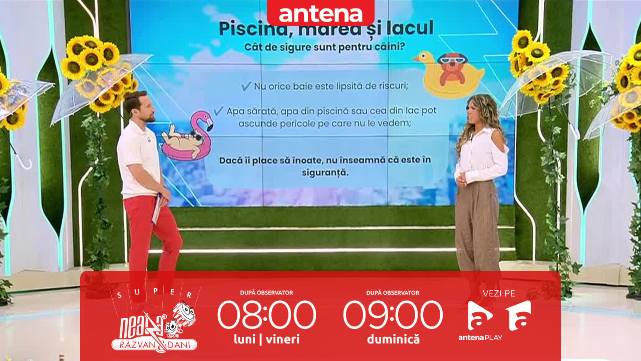 Super Neatza. La ce pericole trebuie să fim atenți atunci c&acirc;nd plecăm &icirc;n concediu cu animalul nostru de companie