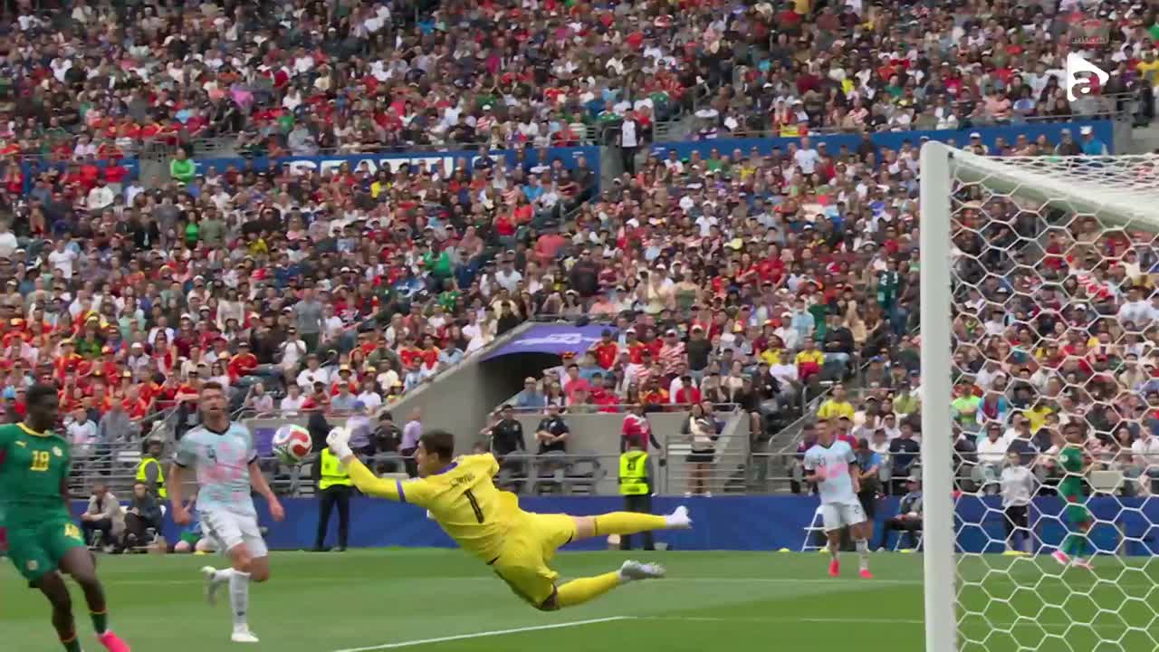 Belgia - Senegal | Rezumat