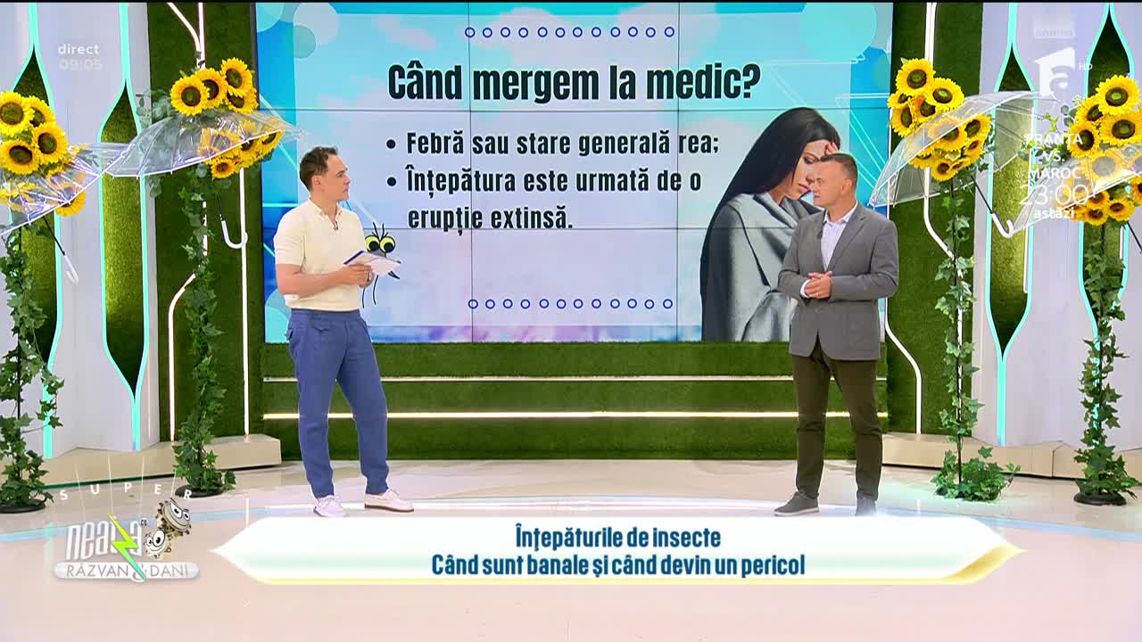 Super Neatza. C&acirc;nd devin un pericol real pentru sănătate &icirc;nțepăturile de insecte
