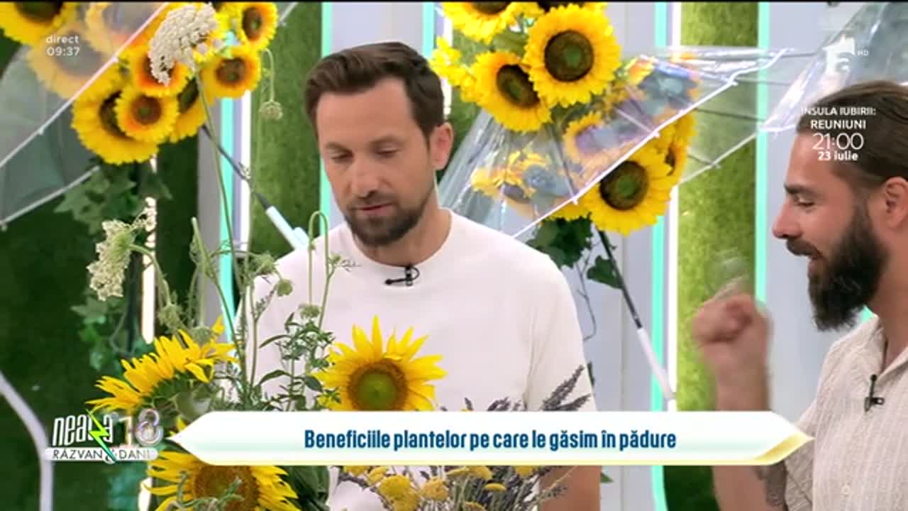 Super Neatza. Ce plante medicinale găsim &icirc;n pădure și ce proprietăți au