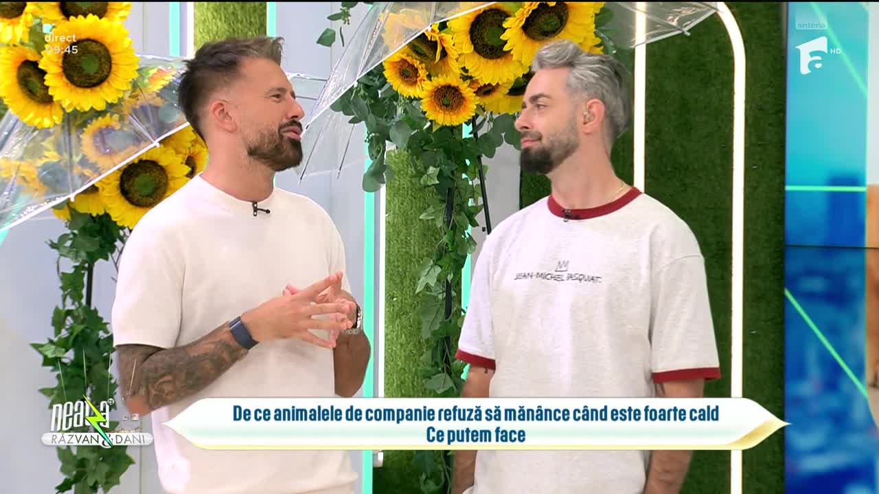 Super Neatza. De ce animalele de companie refuză să măn&acirc;nce c&acirc;nd este foarte cald