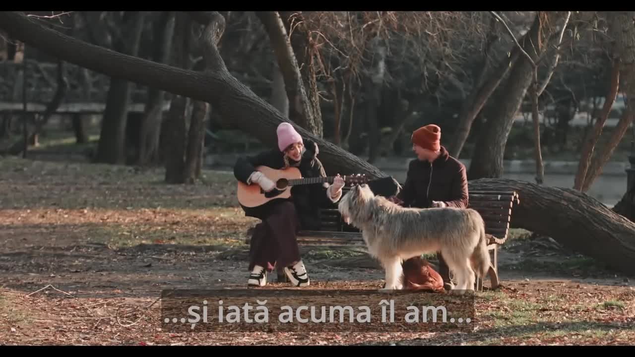 Efectul Pufi | Trailer