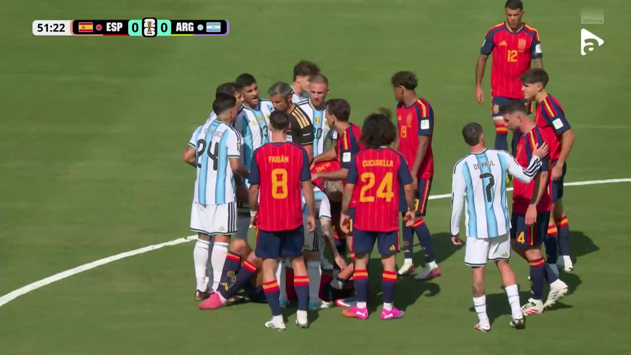 Spania - Argentina | Rezumat