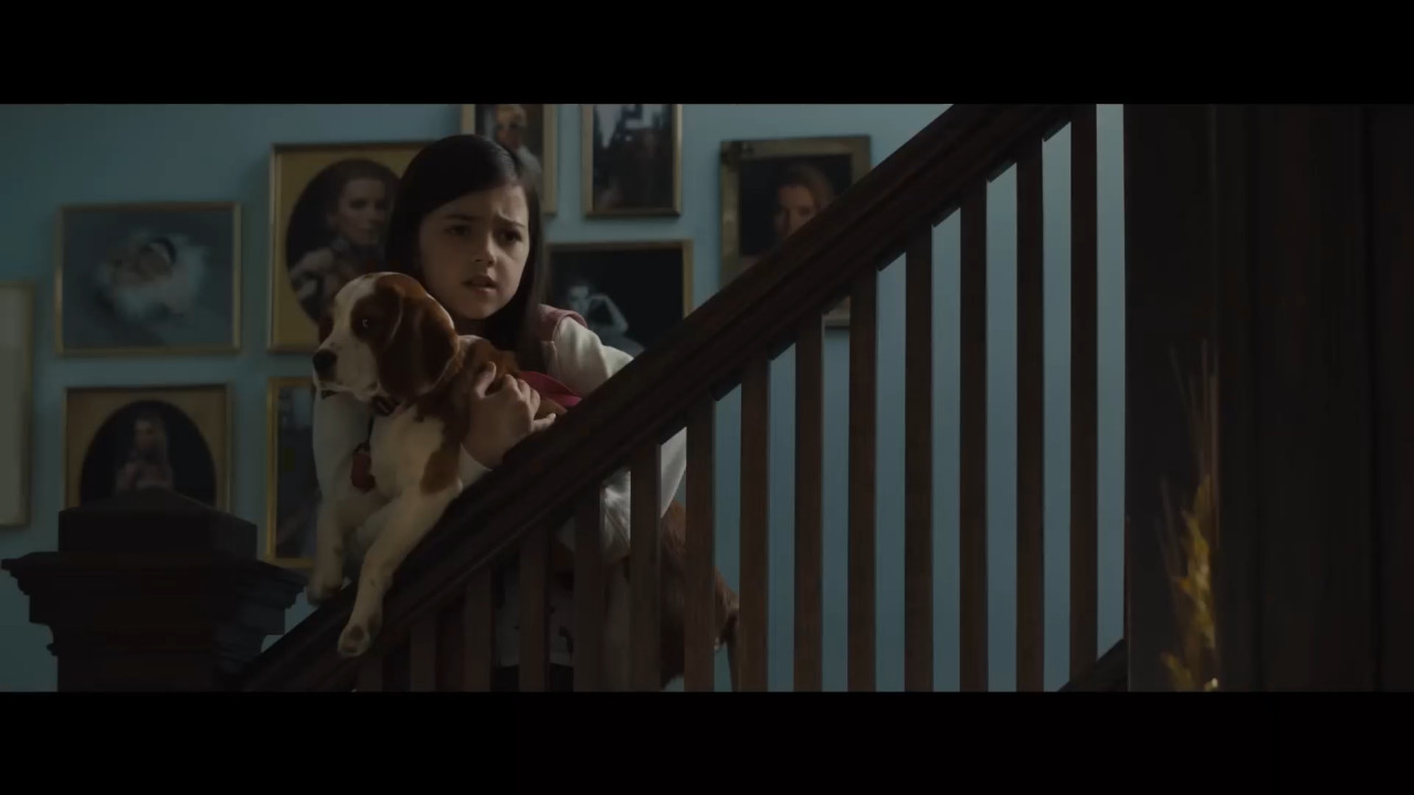 Câinele, adevăratul meu prieten 2 | Trailer