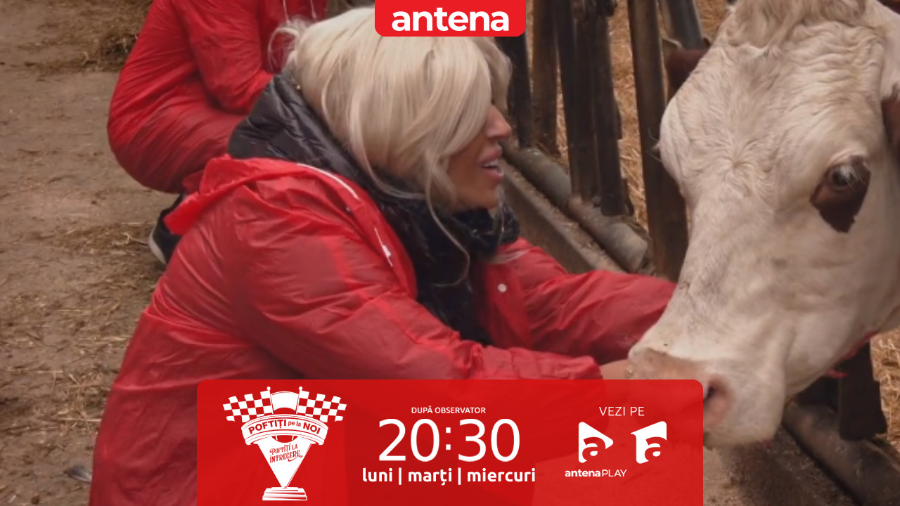 Poftiți pe la noi: Poftiți la &icirc;ntrecere, sezonul 2. Raluca Bădulescu, sensibilizată p&acirc;nă la lacrimi de o văcuță: Am simțit că o iubesc!