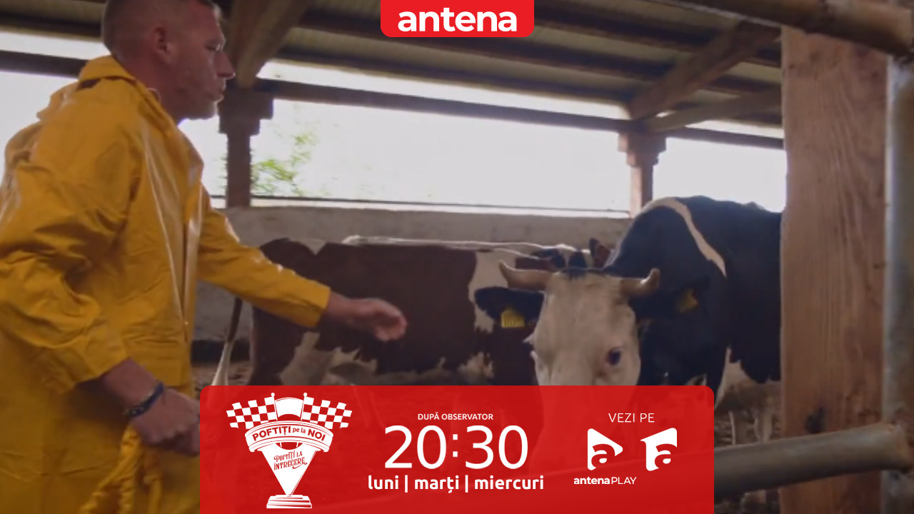 Poftiți pe la noi: Poftiți la &icirc;ntrecere, sezonul 2. Echipele s-au &icirc;ntrecut &icirc;ntr-o ferma de bovine! Nea Marin: Trebuie să prindeți două vaci și să le plimbați cu trenulețul!
