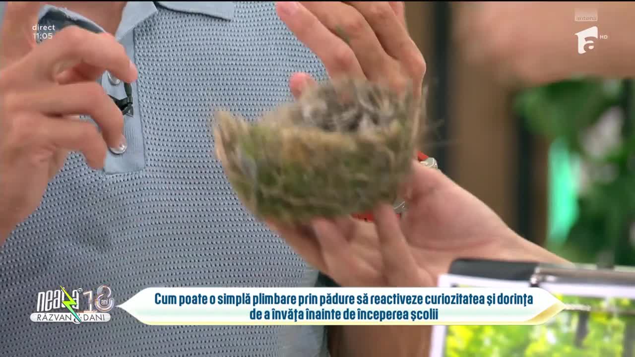 Super Neatza. Ce &icirc;nvață copiii la activitățile care se desfăşoară &icirc;n natură