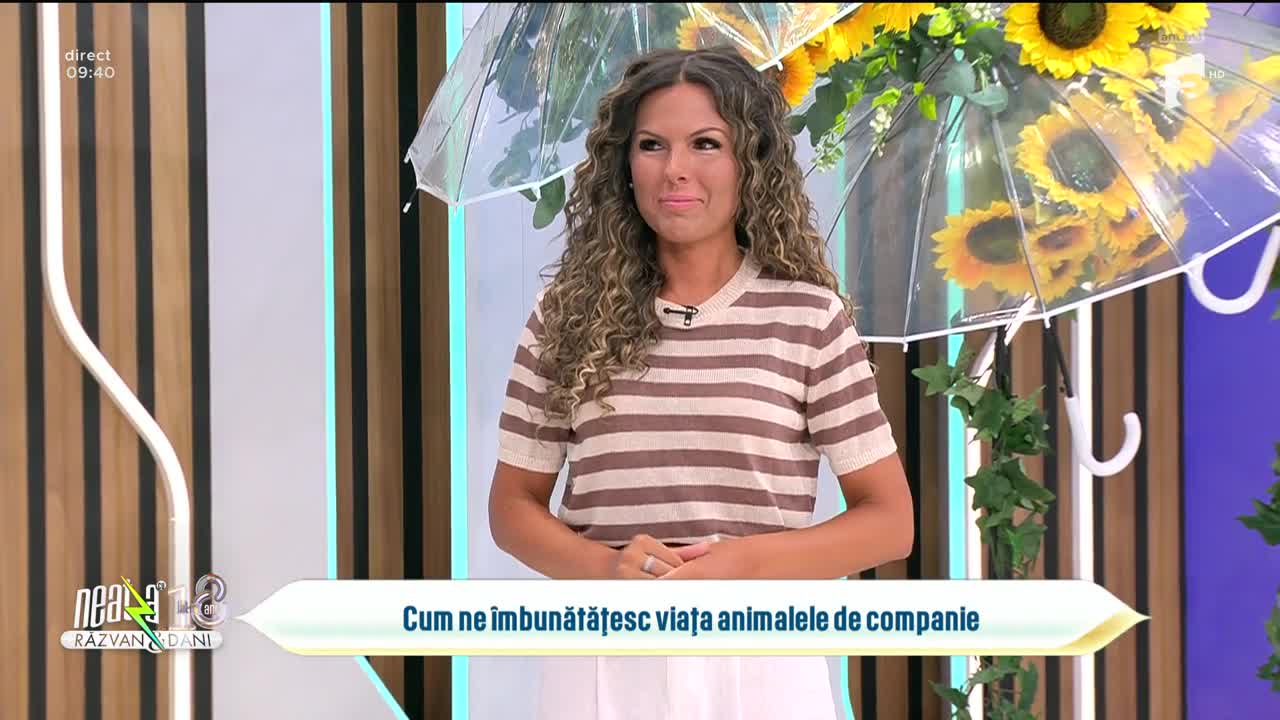 Super Neatza. Cum ne &icirc;mbunătăţesc viața animalele de companie