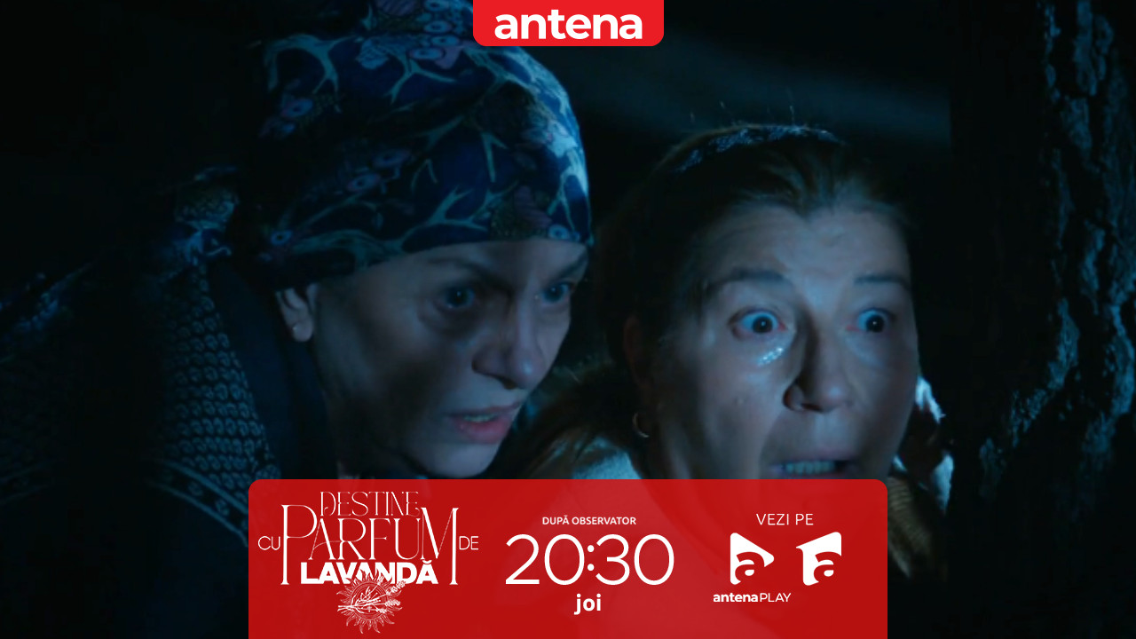 Destine cu parfum de lavandă | Episodul 25. Dan este viu! Floarea &icirc;și vede fiul &icirc;n pădure!