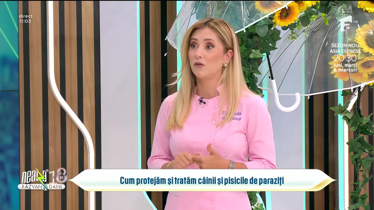 Super Neatza. Cum protejăm şi tratăm c&acirc;inii şi pisicile de paraziți