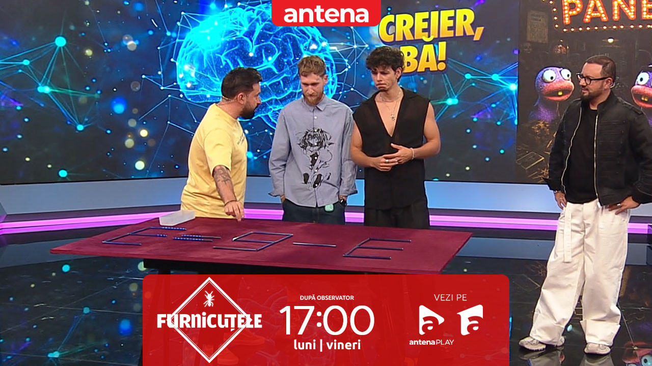 Furnicuțele 2026. Joc de inteligență și atenție. Emilian și Alex Furman, provocați să rezolve trei puzzle-uri