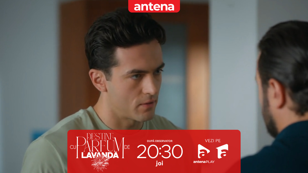 Destine cu parfum de lavandă | Episodul 34. Dan &icirc;i cere ajutorul lui Andrei! Condiția pusă pentru descifrarea registrului lui Zamfir