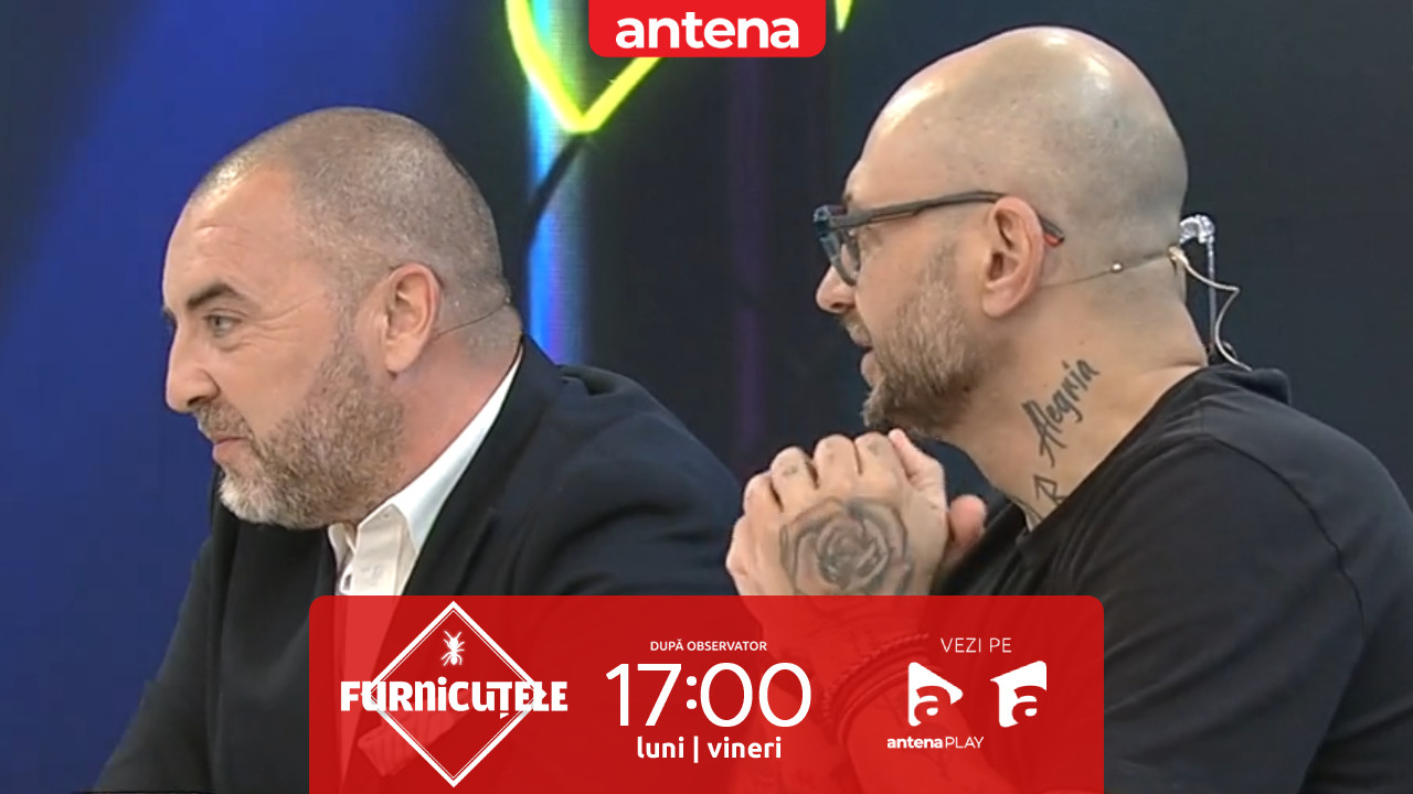 Furnicuțele 2026. Duel de forță &icirc;n platou! Radu Darie vs. Cristi Mitrea la sacul de box