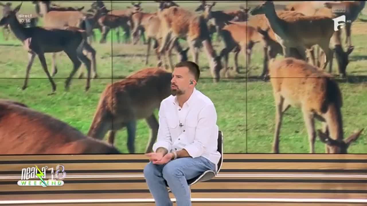 Neatza de Weekend. Diana Munteanu și Ilona Brezoianu trebuie să recunoască filmele! Cum s-au descurcat